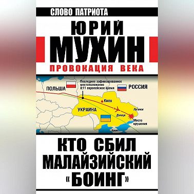 Кто сбил малайзийский «Боинг». Провокация века