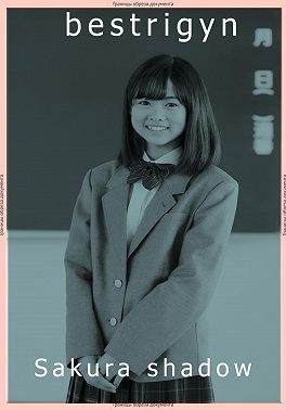 Sakura shadow