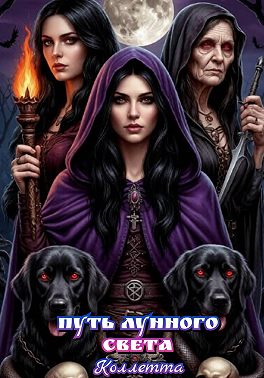 Путь лунного света