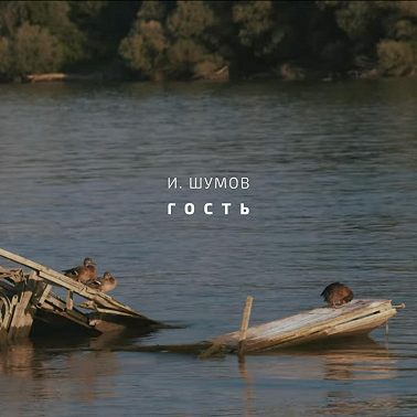 Гость