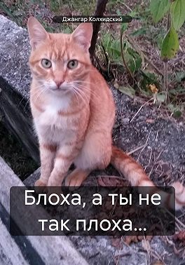 Блоха, а ты не так плоха…