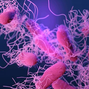 Preventing catastrophic pandemics (Article)