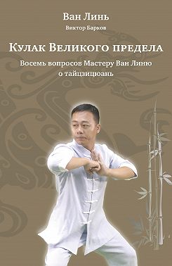 Кулак Великого предела. Восемь вопросов Мастеру Ван Линю о тайцзицюань