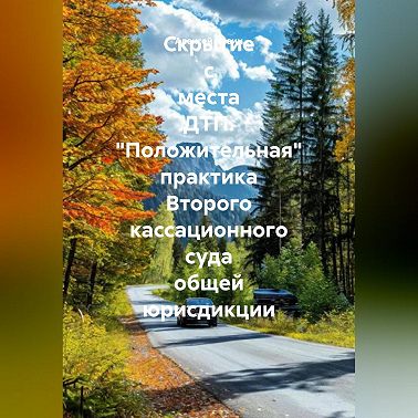 Скрытие с места ДТП. «Положительная» практика Второго кассационного суда общей юрисдикции