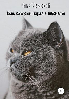 Кот, который играл в шахматы