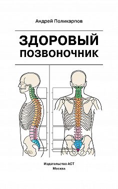 Здоровый позвоночник