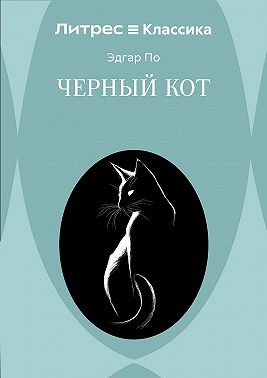 Черный кот