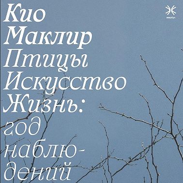 Птицы, искусство, жизнь: год наблюдений