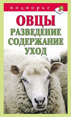 Овцы. Разведение. Содержание. Уход