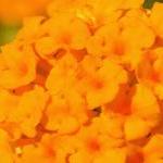 Где был Всевышний 7 октября?