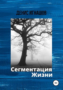 Сегментация Жизни