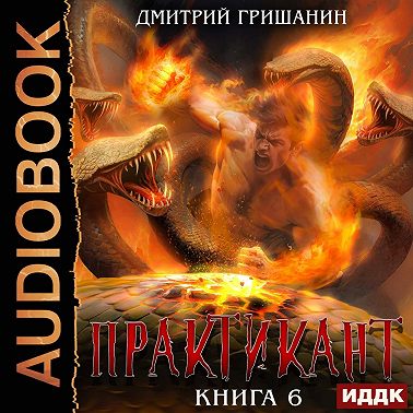 Практикант. Книга 6