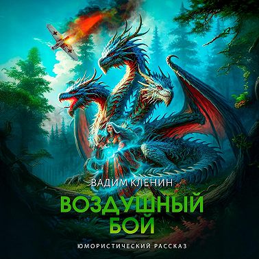 Воздушный бой