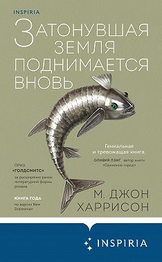 Затонувшая земля поднимается вновь