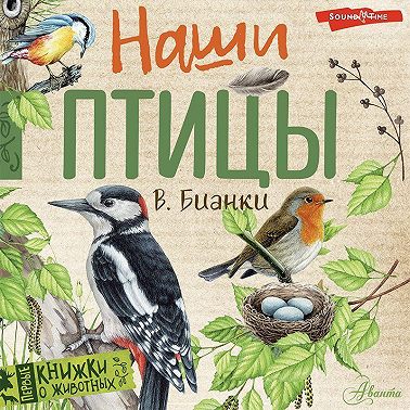 Наши птицы