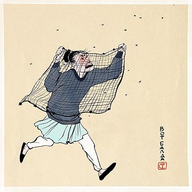 Как дурак мух ловил