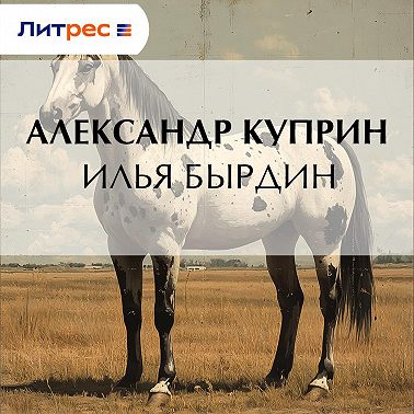 Илья Бырдин