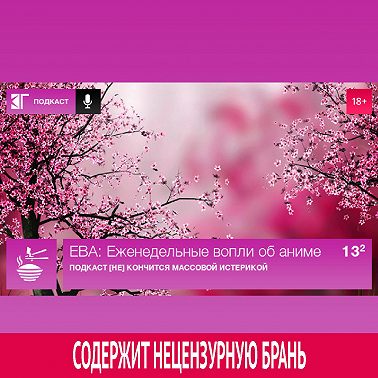 Выпуск 13.2