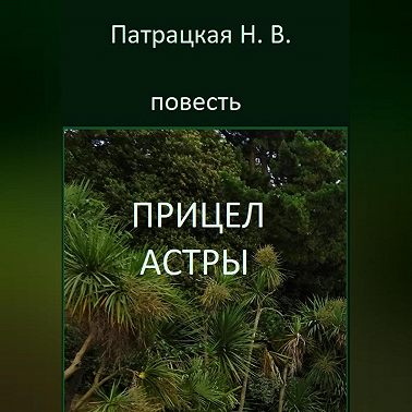 Прицел астры