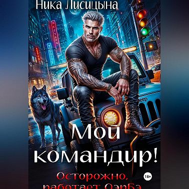 Мой командир!