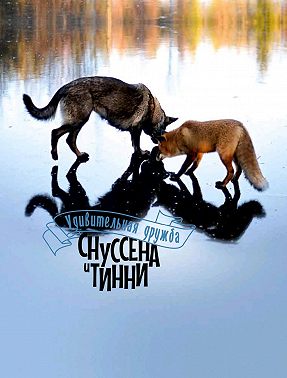 Удивительная дружба Снуссена и Тинни