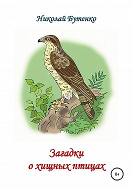 Загадки о хищных птицах