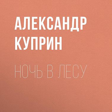 Ночь в лесу