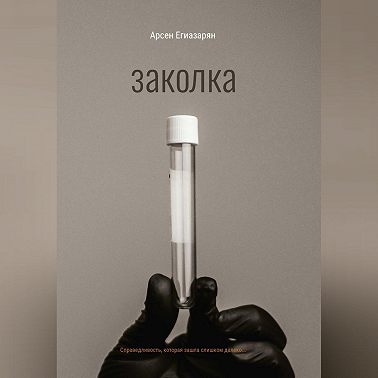 Заколка