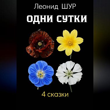Одни сутки
