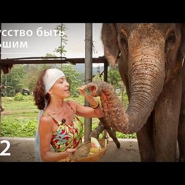 Слон: Искусство быть большим