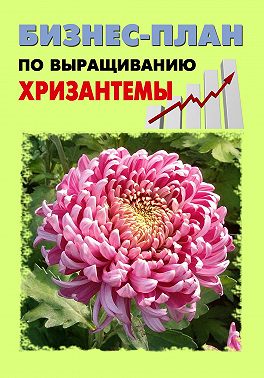 Бизнес-план по выращиванию хризантемы