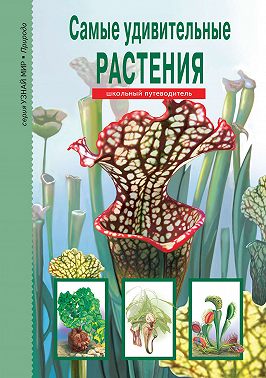 Самые удивительные растения