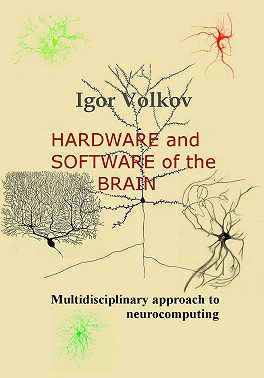 Hardware and software of the brain
