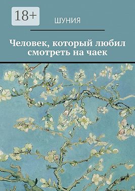 Человек, который любил смотреть на чаек