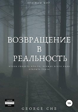 Возвращение в реальность