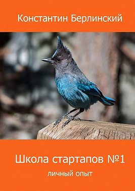 Школа стартапов №1: Личный опыт. 2-ое издание с иллюстрациями