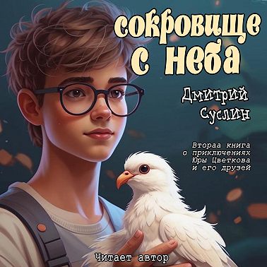 Сокровище с неба