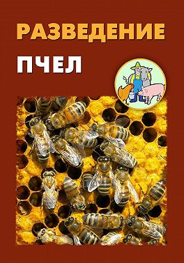 Разведение пчел