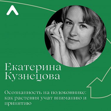 Осознанность на подоконнике: как растения учат вниманию и принятию