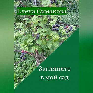 Загляните в мой сад