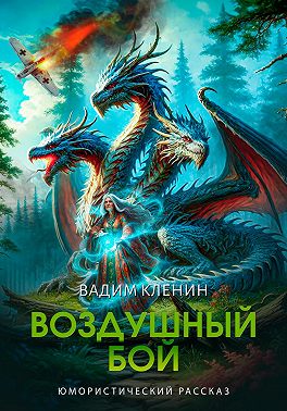 Воздушный бой