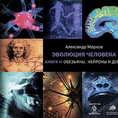 Обезьяны, нейроны и душа