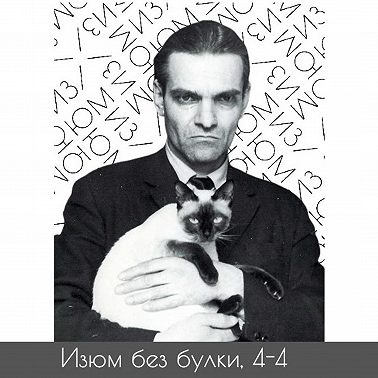 #4-4 Древние языки; Кнорозов — Кошка Ася — Майя