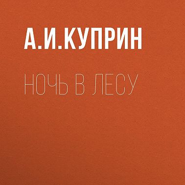 Ночь в лесу