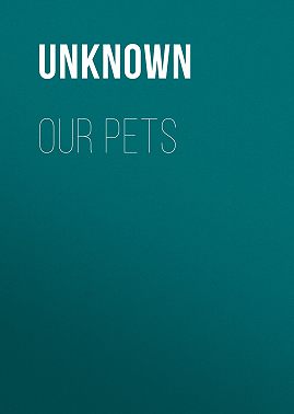 Our Pets