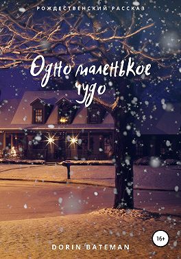 Одно маленькое чудо