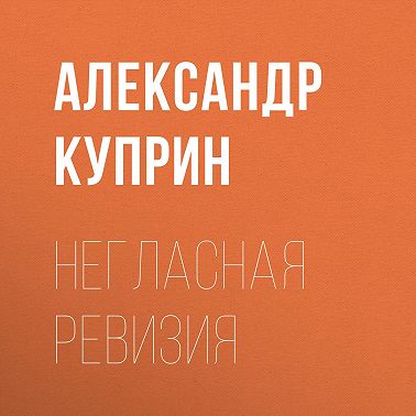 Негласная ревизия