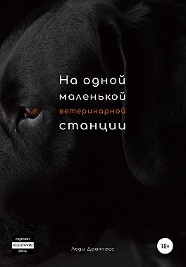 На одной маленькой ветеринарной станции