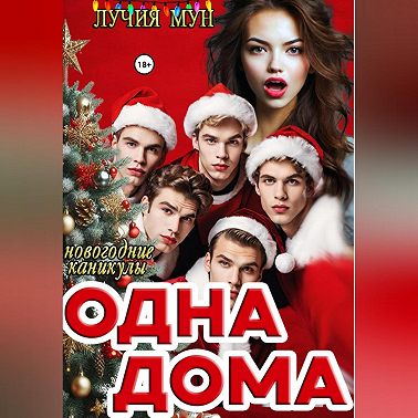 Одна дома. Новогодние каникулы