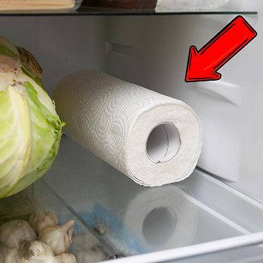 Вот зачем класть бумажное полотенце в холодильник секрет, который облегчит жизнь!